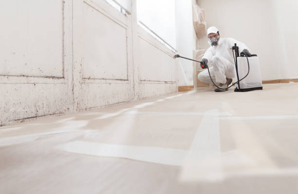 24/7 Emergency Crawl Space Mold Removal experts in Anna, IL