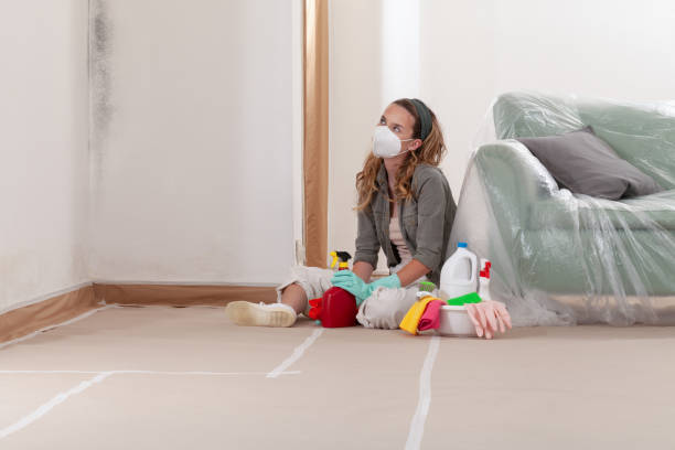 Reliable Crawl Space Mold Removal contractor in Anna, IL by WQB Mold Removal